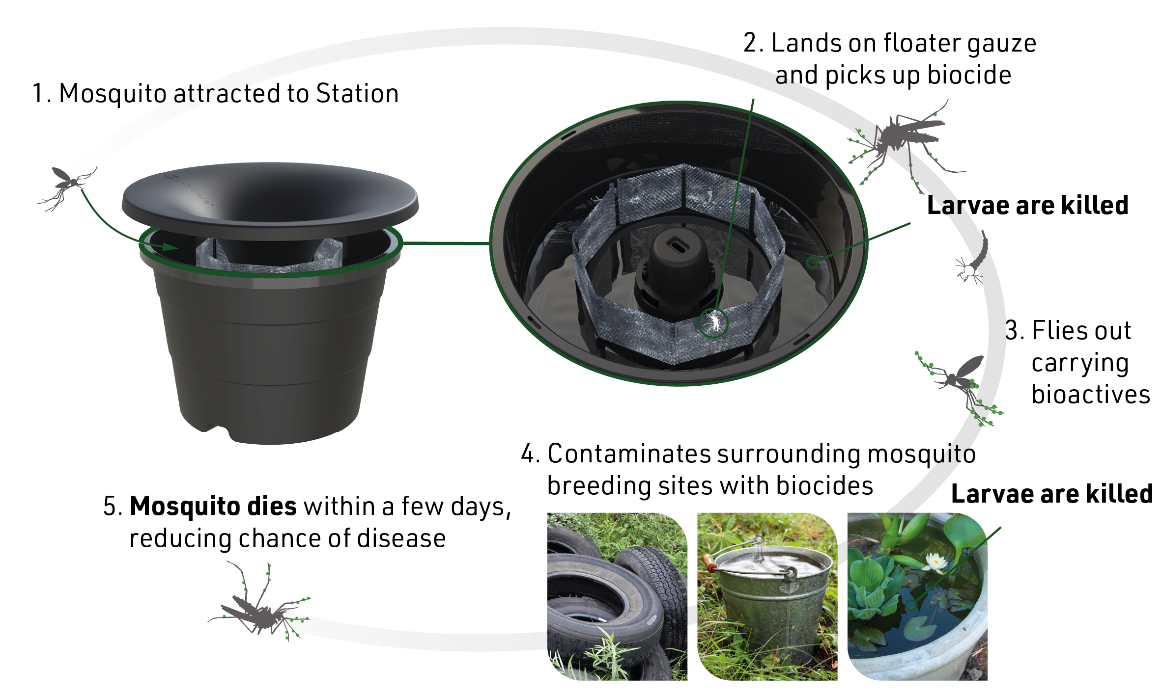 How the In2Care Mosquito Station works -- mosquito enters, picks up biocide, contaminates surrounding breeding sites, larvae are killed, mosquito dies