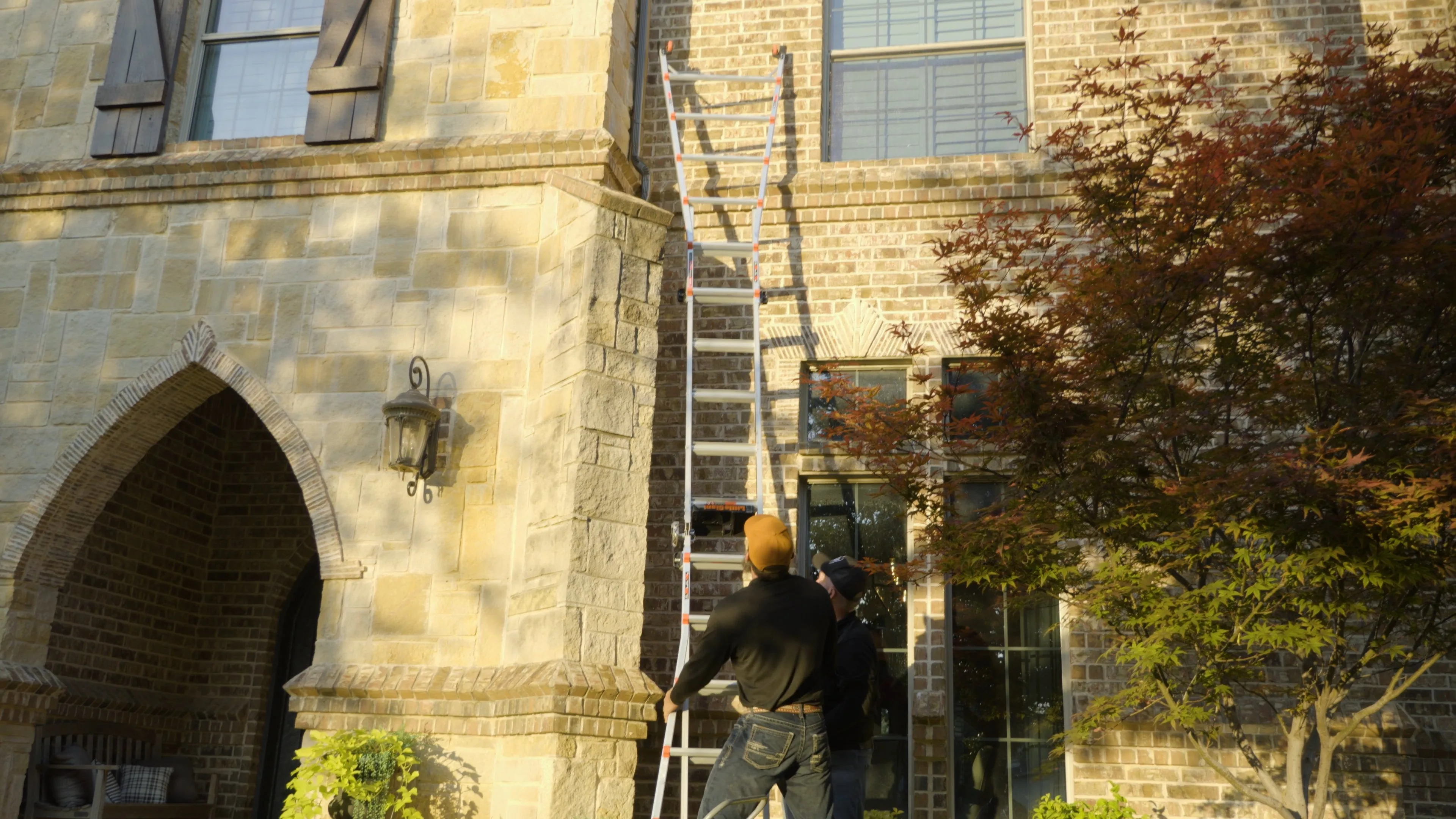 Wildlife Exclusion & Removal