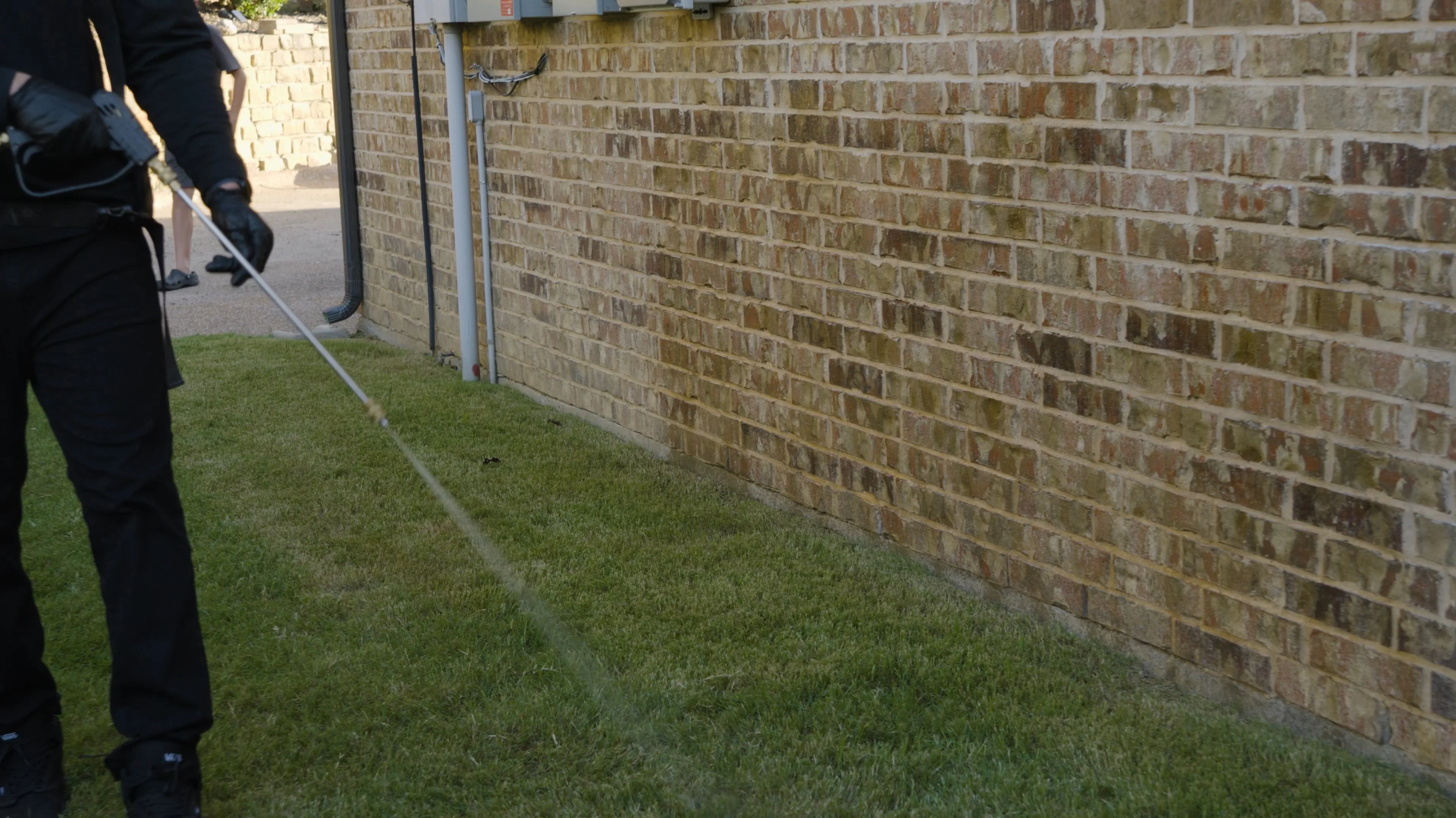 Professional Pest Control Service