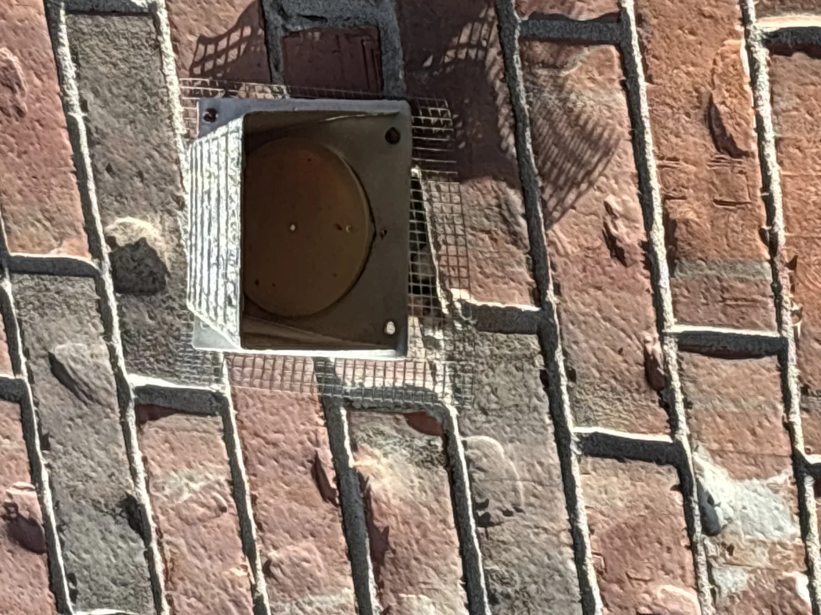 Dryer exhaust vent on brick exterior sealed with hardware cloth to exclude wildlife