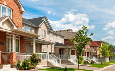 The Importance of Proactive Pest Control for Your Property