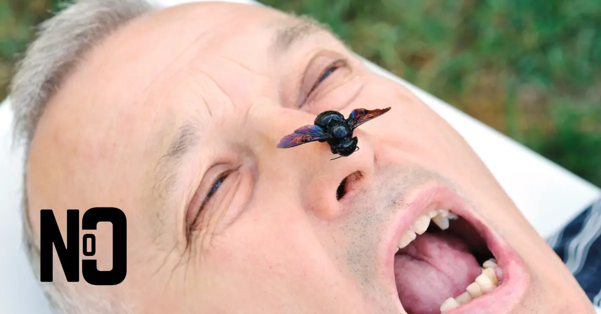 a man with a bee on his nose and he is screaming