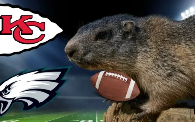 If Punxsutawney Phil Were An NFL Team How Would He Stack Up?
