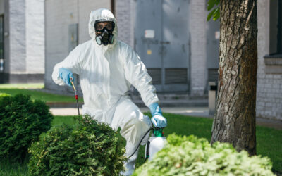How do I choose the best pest control service?